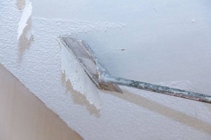 Ceiling Removal Service in Katy, TX